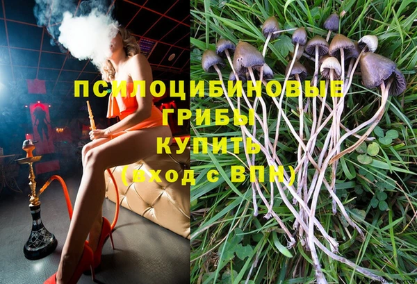мет Алексин