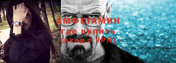 мет Алексин
